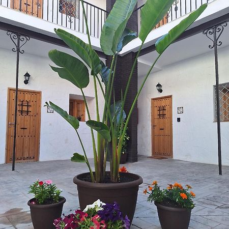Suite San Mateos 15 赫雷斯 外观 照片