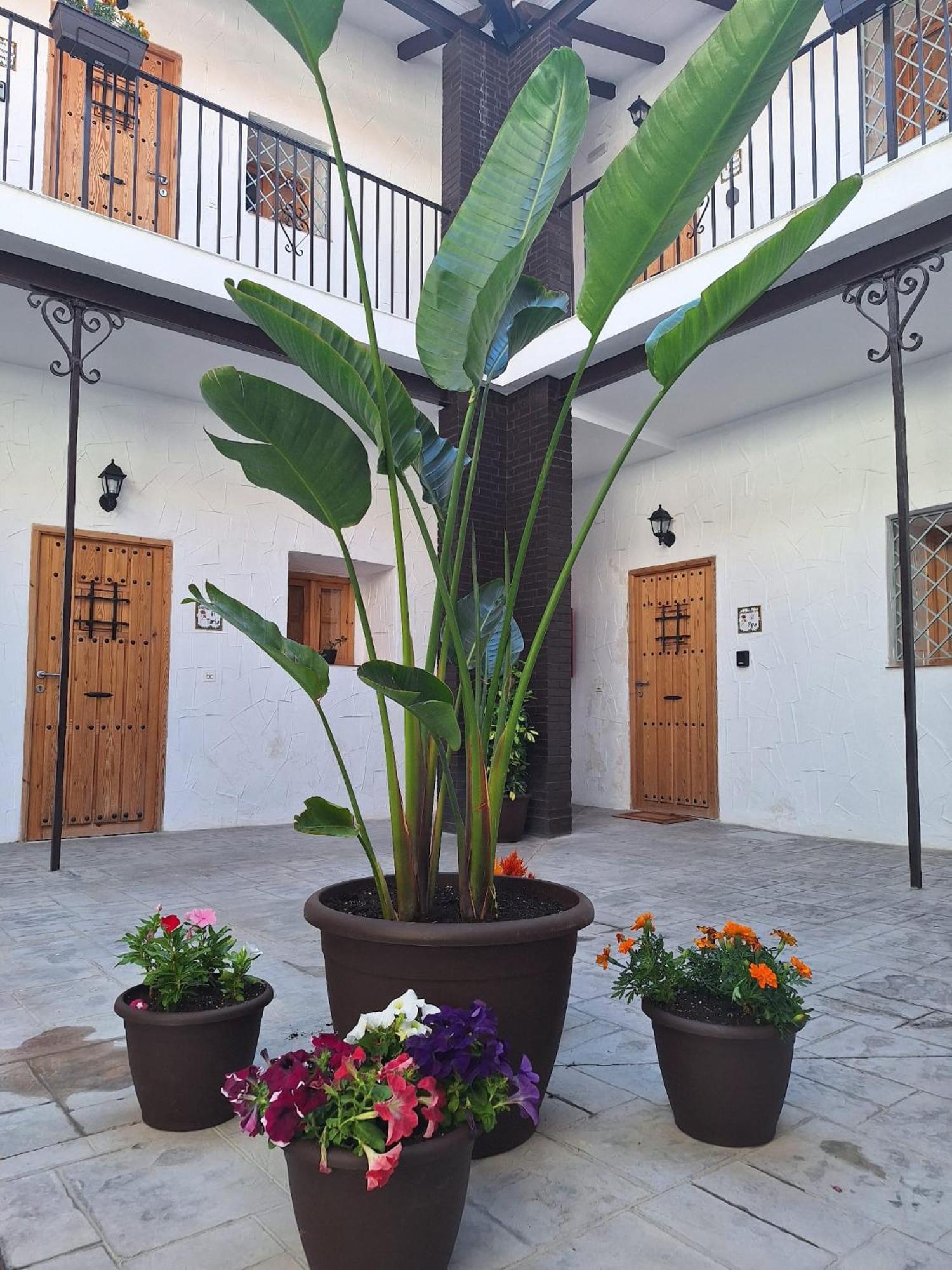 Suite San Mateos 15 赫雷斯 外观 照片
